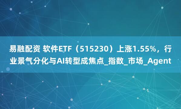 易融配资 软件ETF（515230）上涨1.55%，行业景气分化与AI转型成焦点_指数_市场_Agent